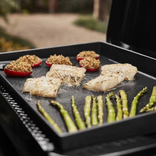 WEBER SLATE GP 56 cm Premium Griddle Gas Grill, 1500570 - WEBER - Evelostore