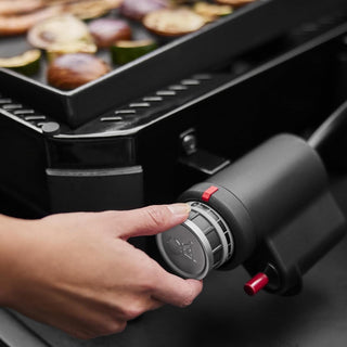 WEBER SLATE GP 43 cm Premium Griddle Gas Grill – 1501161 - WEBER - Evelostore