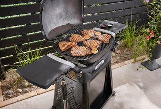 Weber Q 3200N+ dujinis grilis su vežimėliu, 1501137