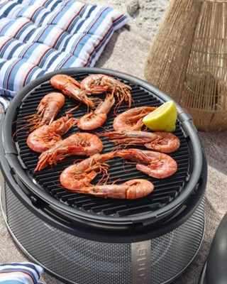 COBB Supreme Podróżny/piknikowy grill węglowy