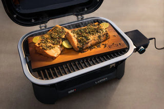 WEBER LUMIN COMPACT Electric grill