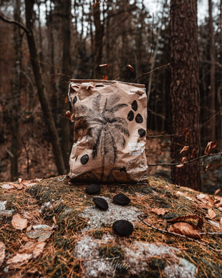 Schwarzberg kokoso anglies briketai, 3 kg.