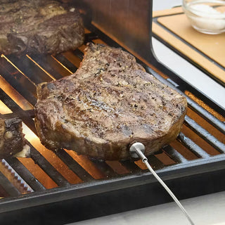 WEBER GENESIS EX-425W gas grill