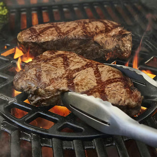 WEBER GENESIS EX-425W gas grill