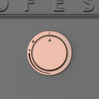 Pellet grill - smokehouse Traeger Woodridge Elite