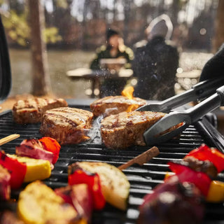 WEBER TRAVELER COMPACT Grill gazowy