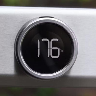 Dujinis grilis Weber Spirit EP-335