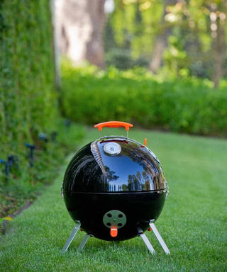 ProQ Rūkyklos Rūkykla ProQ Frontier Version 4, 40 cm