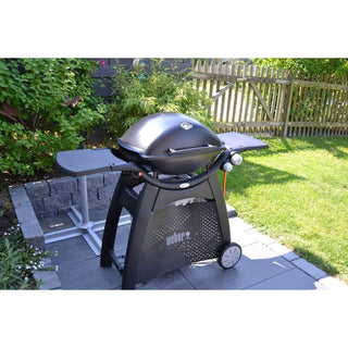WEBER Turistiniai griliai Dujinis grilis WEBER Q3000 su stovu ir ketaus grotelėmis