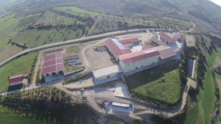 Kiti Prieskoniai ir malūnėliai Sardinijos jūros druskos dribsniai FIOR DI SALE su mirta, 100 g