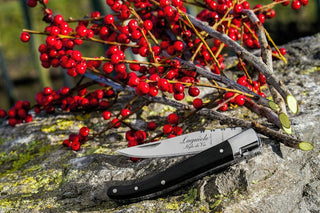 STYLE DE VIE Pjaustymas ir smulkinimas Kišeninis peiliukas LAGUIOLE by STYLE DE VIE, juodmedis, ašmenų ilgis 9,5 cm
