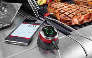 WEBER Termometrai Maisto termometras WEBER iGrill Mini, valdomas telefonu