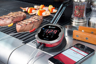 WEBER Termometrai Termometro daviklis WEBER iGrill modeliams, maistui
